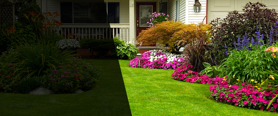 Taylors Landscapers