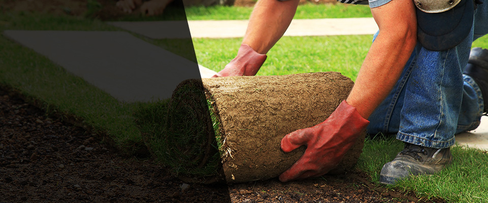 Taylors Landscapers